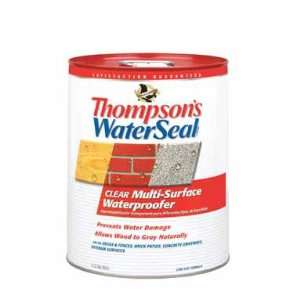  Thompsons 24105 5 Gallon Clear WaterSeal Multi Surface 