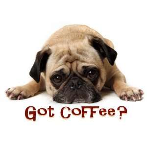  Got Coffee? Pug Note Cards