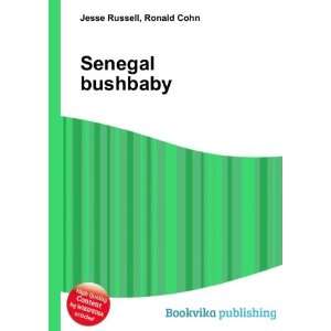  Senegal bushbaby Ronald Cohn Jesse Russell Books