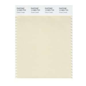  PANTONE SMART 12 0804X Color Swatch Card, Cloud Cream 