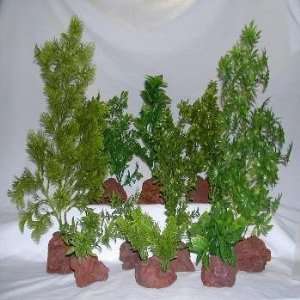 GREEN LAVA PLANTS ASSORTMENT PREPACK (10PC)