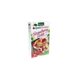 Kashi Promise Strawberry Field (3x10.4 Grocery & Gourmet Food