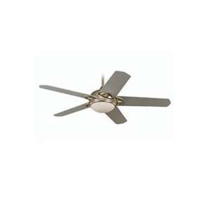  1074   Titanium Ceiling Fan