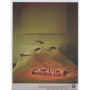  (4x6) Vacancy   Bed (Adopt A Pet) Advertisement Postcard 
