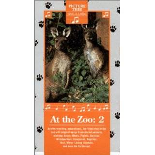 At the Zoo 2  Picture This Sing A Long [VHS]