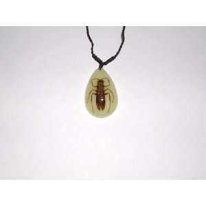  Glow in the dark Real Insect Necklace   Wasp (YD0729 