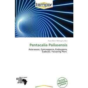   Pentacalia Pailasensis (9786138578666) Alain Sören Mikhayhu Books