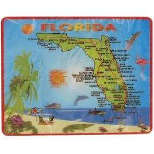  Florida Mouse Pad  Map 3d Souvenir 