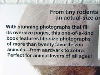 Life Size Zoo Kids Book Big Animals  