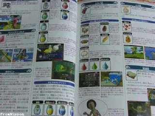 Legend of Zelda Wind WakerNintendo Game Strategy Guide  