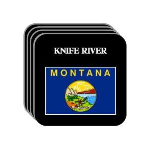 US State Flag   KNIFE RIVER, Montana (MT) Set of 4 Mini 