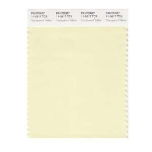   SMART 11 0617X Color Swatch Card, Transparent Yellow