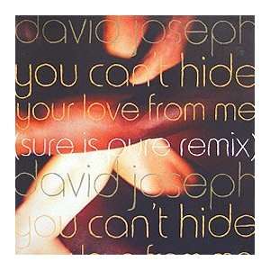  DAVID JOESPH / YOU CAN HIDE (SURE IS PURE REMIX) DAVID 