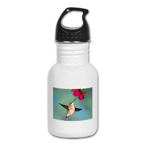    Kids Water Bottle Black Chinned Hummingbird 