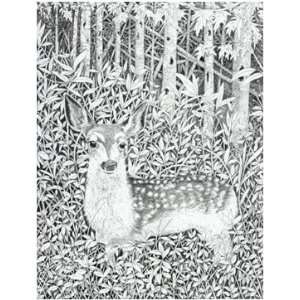  Matted Print   Yearling
