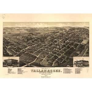 Historic Panoramic Map View of the city of Tallahassee. State capital 