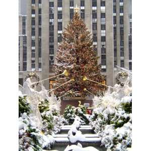   Igor Maloratsky   Christmas Tree At Rockefeller Center