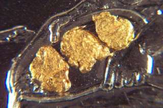 SILVER GOLD PROSPECTOR COIN with 3 GOLD NUGGETS   bullion  