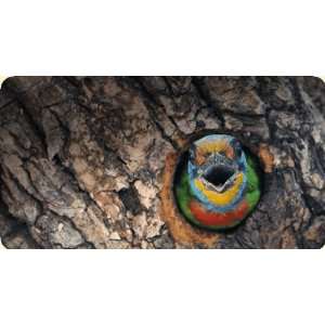  Barbet Mouse Pad