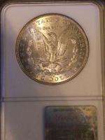   Frosted MS 65 NGC Certified Uncirculated Morgan Silver Dollar  