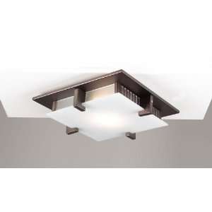   Ceiling in Oil Rubbed Bronze Finish   906/CFL ORB