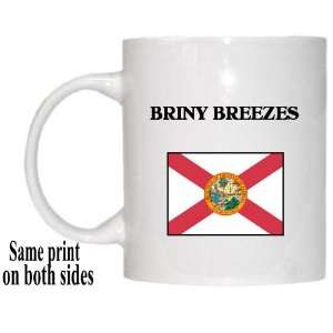  US State Flag   BRINY BREEZES, Florida (FL) Mug 