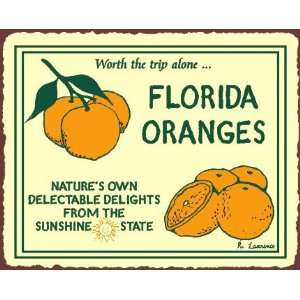 Florida Oranges Worth the Trip Alone Vintage Metal Art Florida Retro 