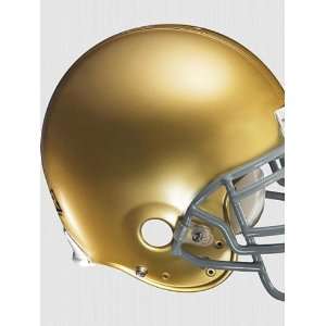   & College Football Helmets Notre Dame Fighting Irish Helmet 4140012