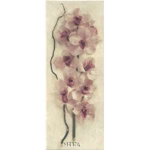   Orchid Finest LAMINATED Print Julie Nightingale 9x18