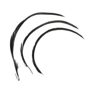  Black Biot Feathers   Crafting Supplies & Shapes 