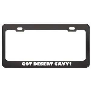 Got Desert Cavy? Animals Pets Black Metal License Plate Frame Holder 