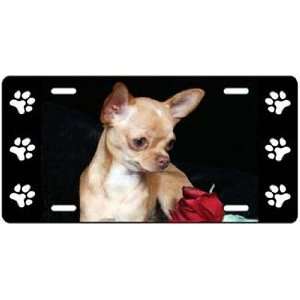  Chihuahua License Plate