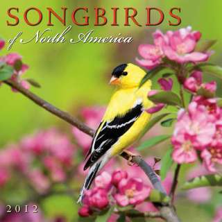 Songbirds of North America 2012 Wall Calendar 1416287051  