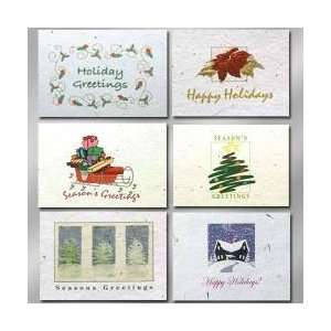  FHC6 X    Seeded Paper Holiday Card Six Packs