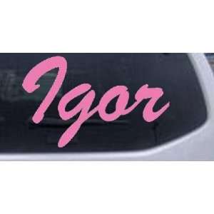  Pink 4in X 2.5in    Igor Names Car Window Wall Laptop Decal Sticker 