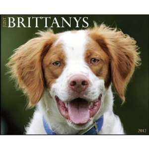  Just Brittanys 2012 Wall Calendar