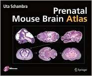 Prenatal Mouse Brain Atlas Color images and annotated diagrams of 