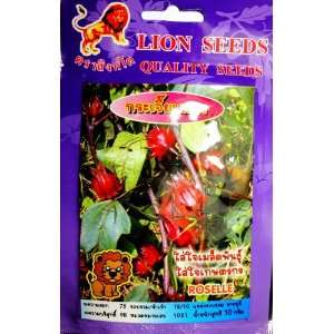  Thai Lion Seeds Roselle (Quality Seeds) 5 packages 