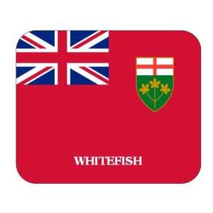  Canadian Province   Ontario, Whitefish Mouse Pad 