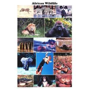  African Wild Life   Inspirational Poster  24 x 36