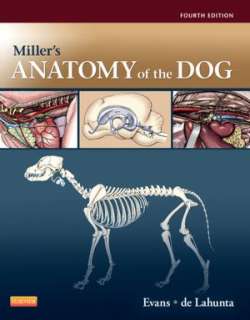   Millers Anatomy of the Dog by Howard E. Evans 