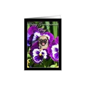  Happy Grandparents Day Pug puppy in Pansies Card Health 