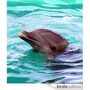 Dolphin   Animal Kingdom App Book Shop  Kindle Store