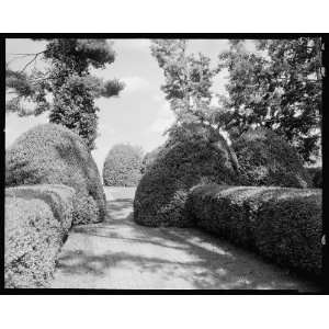  Ashlawn,Charlottesville,Albemarle County,Virginia