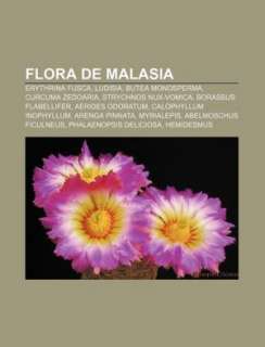 Flora de Malasia Erythrina Fusca, Ludisia, Butea Monosperma, Curcuma 