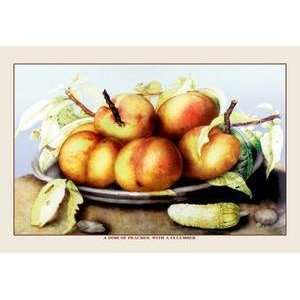  Vintage Art Dish of Peaches with a Cucumber   11579 3 