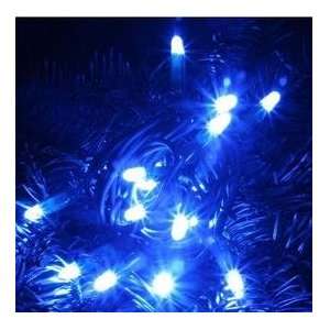   Powered Christmas Lights String Light 100 LED Blue