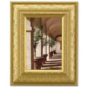   Domed Shape Picture Frame in Gilded Gold Size 8 x 10 Electronics