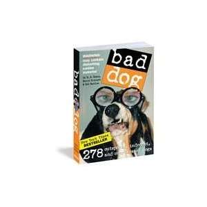  Bad Dog