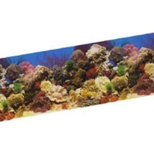 Blue Ribbon Vibran Sea Salt Water Coral Reef Scene 20 Inch Wide x 50ft 